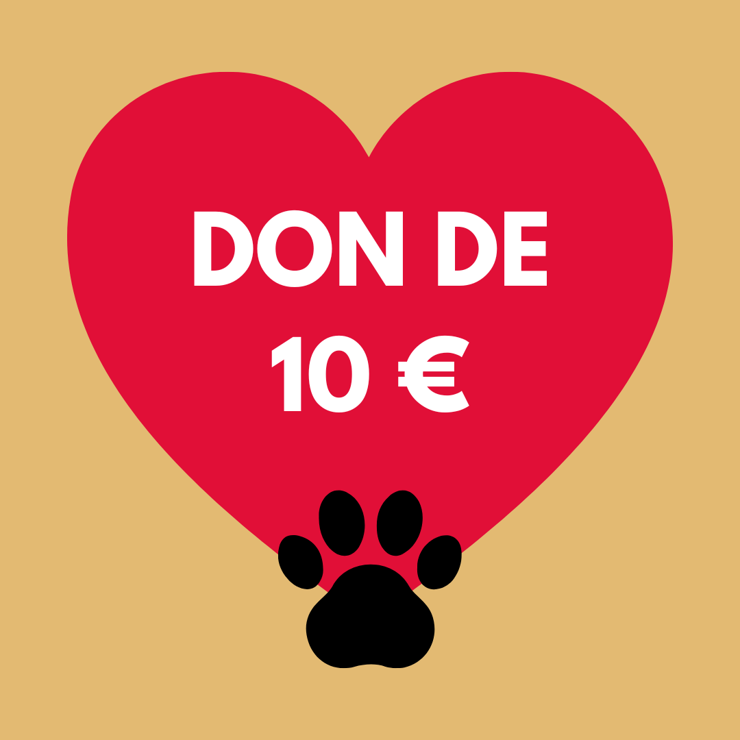 Donazione €10 