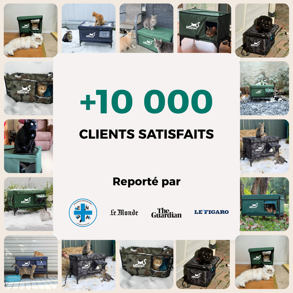 Miawi - L'abri chauffant pour votre chat