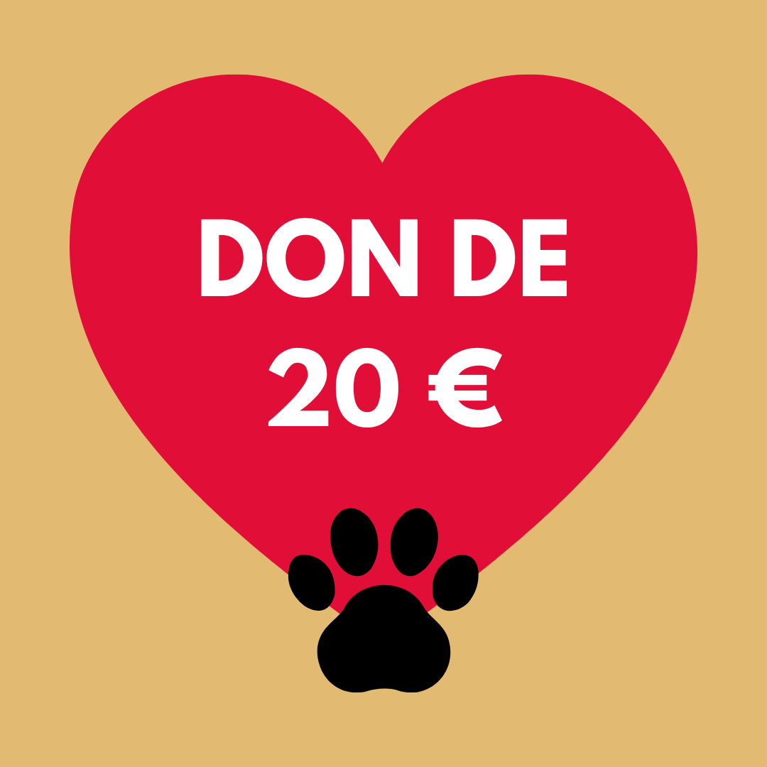 Donazione €20 