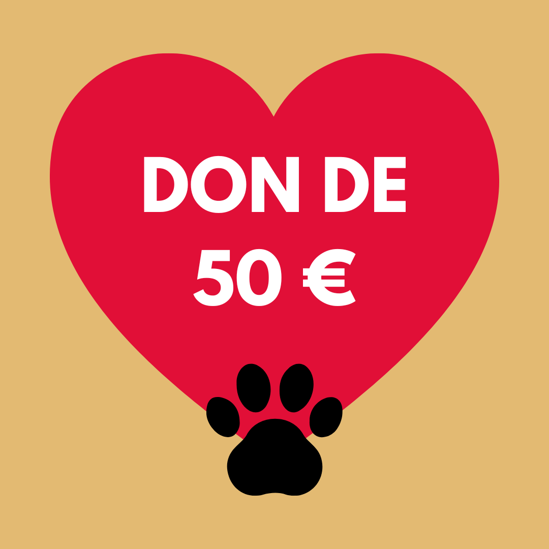 Donazione €50 
