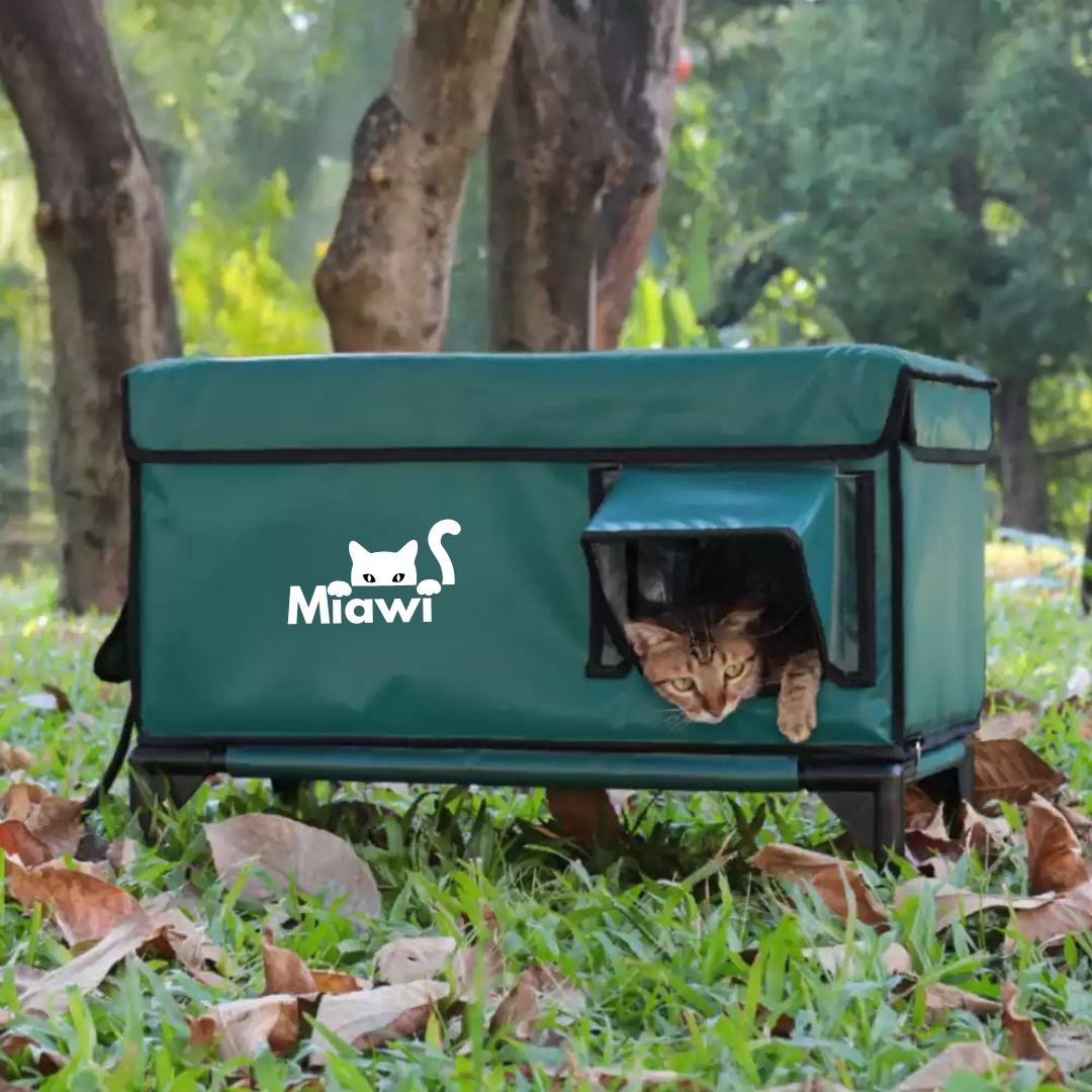 Miawi: la casa che riscalda il tuo gatto in inverno. 