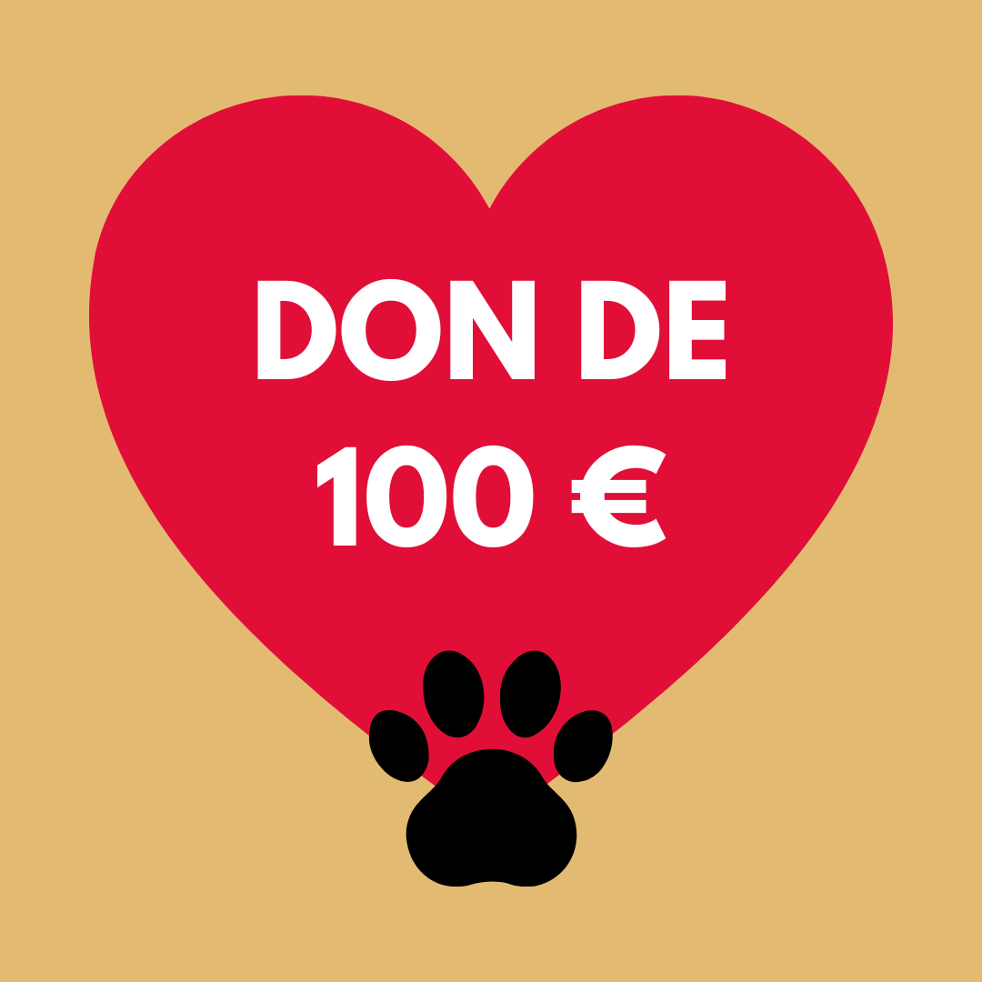 Donazione €100