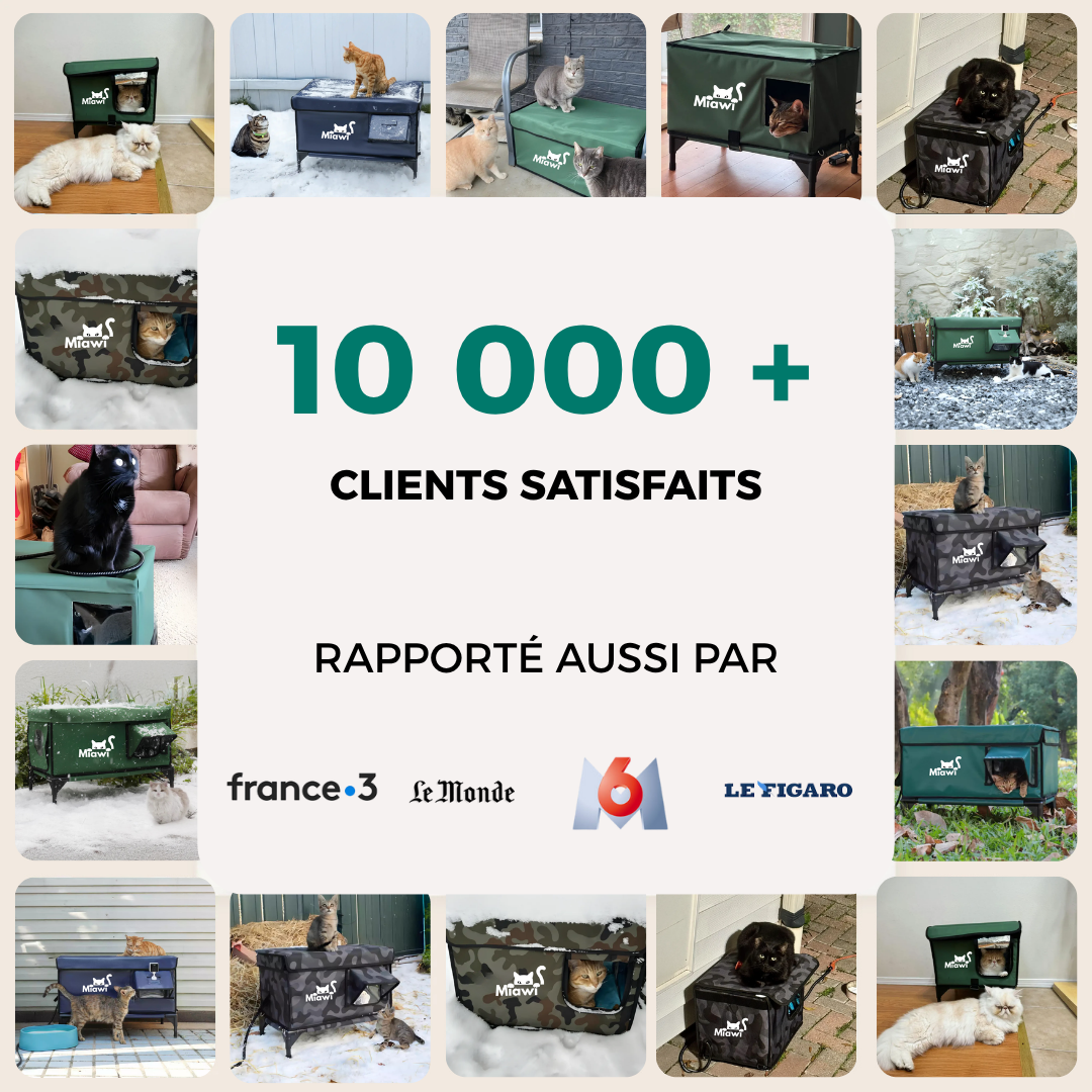Miawi® : L'abri qui chauffe et protège votre chat.