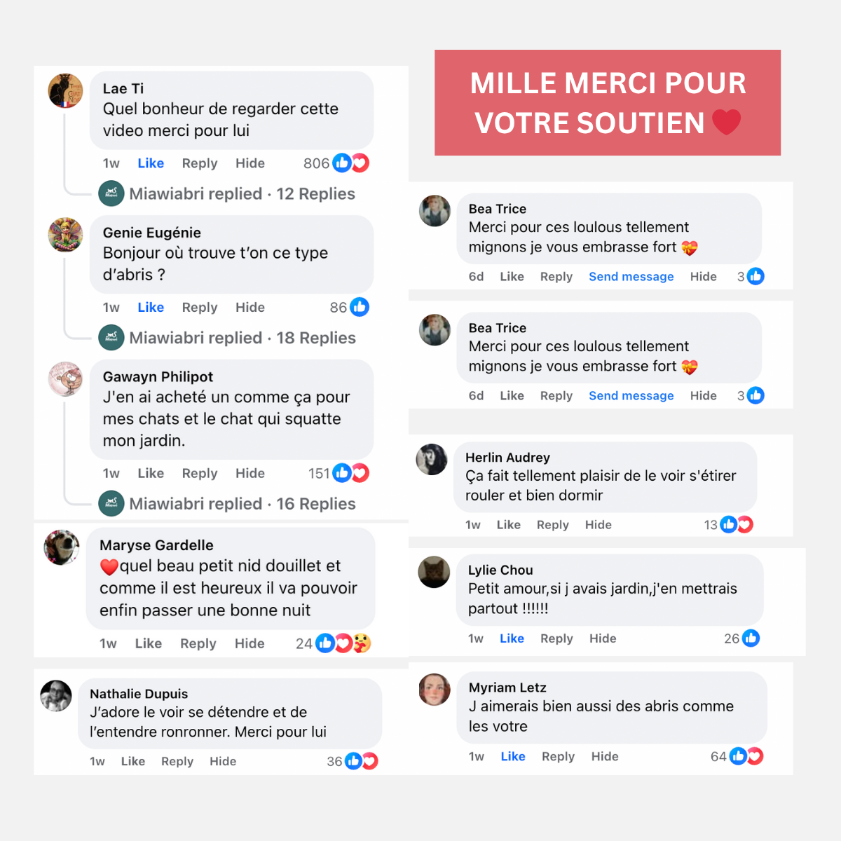 Miawi® : L'abri qui chauffe et protège votre chat.