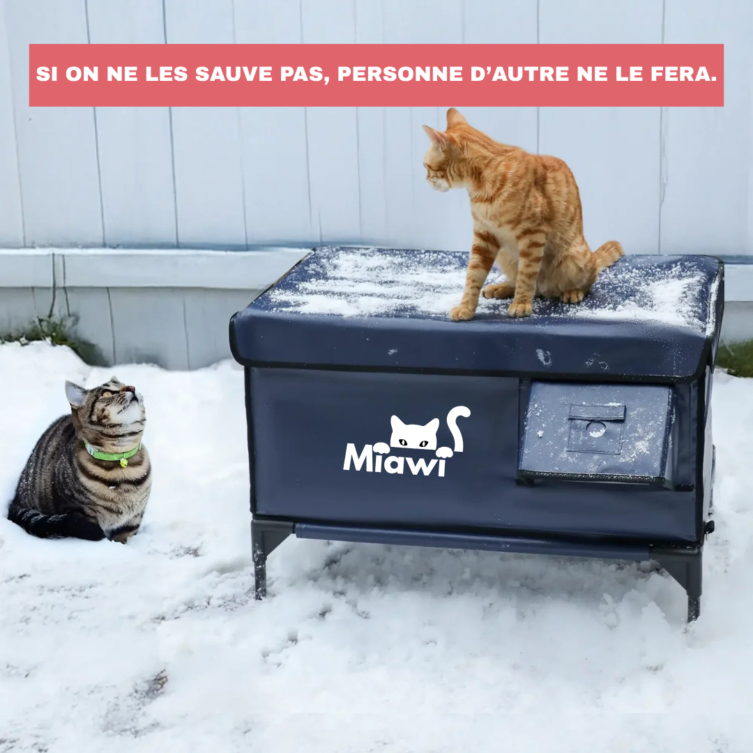 Miawi: la casa che riscalda il tuo gatto in inverno (verde) 
