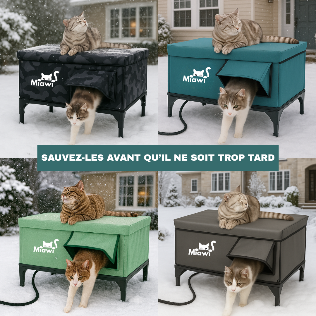 Miawi : La maison qui chauffe votre chat en hiver ( gris )