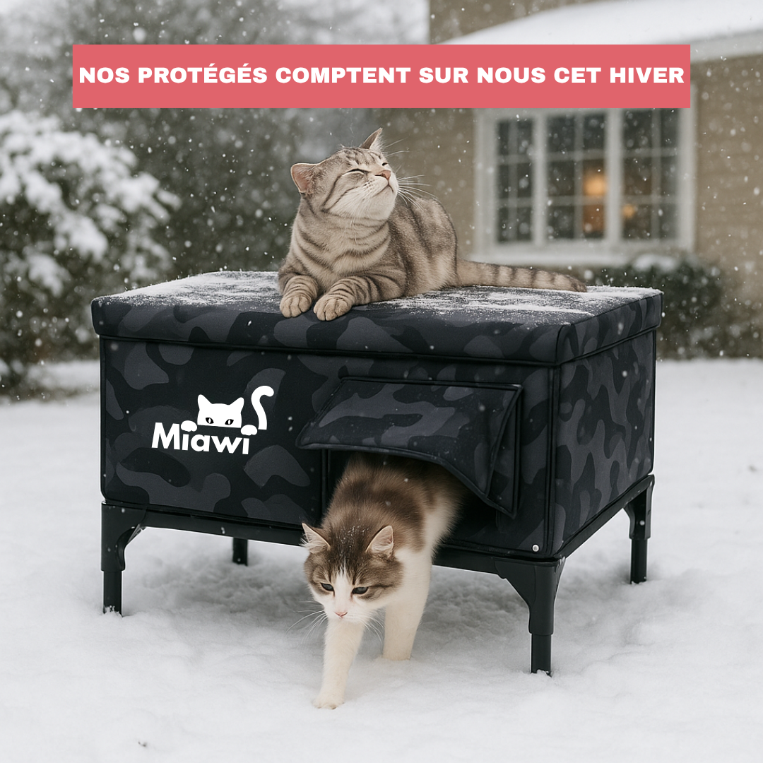 Miawi: la casa che riscalda il tuo gatto in inverno (verde) 