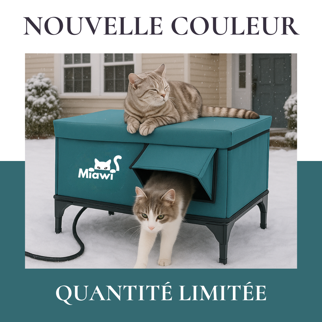 Miawi: la casa che riscalda il tuo gatto in inverno (verde) 