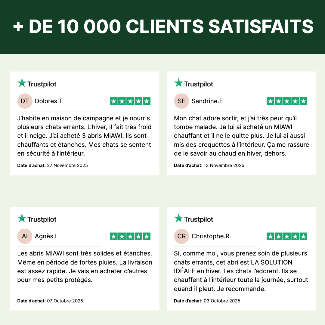 Miawi: la casa che riscalda il tuo gatto in inverno. 